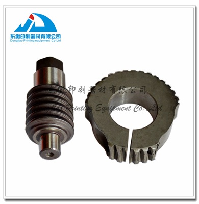 Worm and Gear